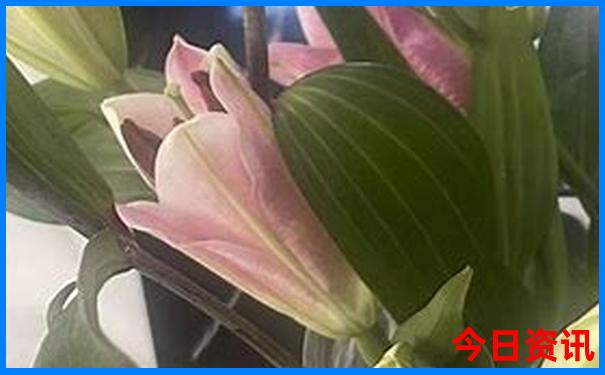 西安周边游玩好去处一日游